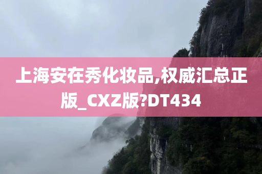 上海安在秀化妆品,权威汇总正版_CXZ版?DT434