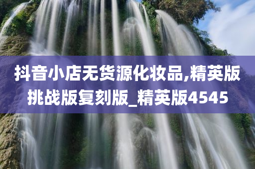 抖音小店无货源化妆品,精英版挑战版复刻版_精英版4545