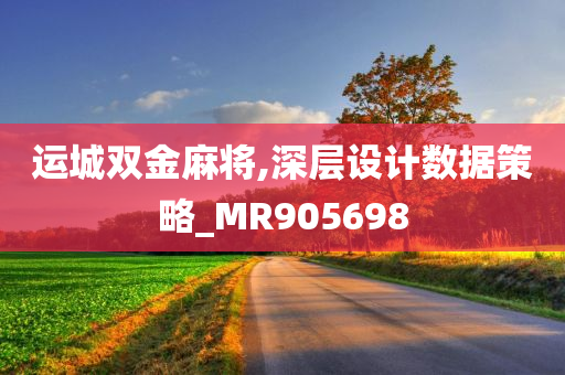 运城双金麻将,深层设计数据策略_MR905698