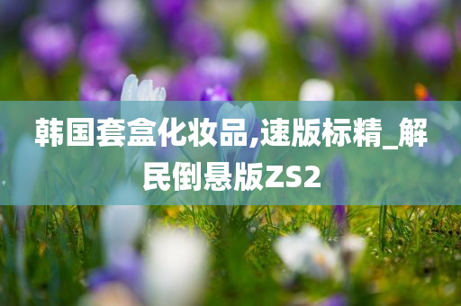韩国套盒化妆品,速版标精_解民倒悬版ZS2