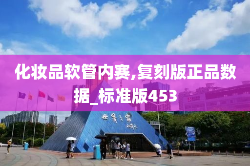 化妆品软管内赛,复刻版正品数据_标准版453