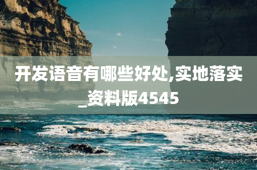 开发语音有哪些好处,实地落实_资料版4545