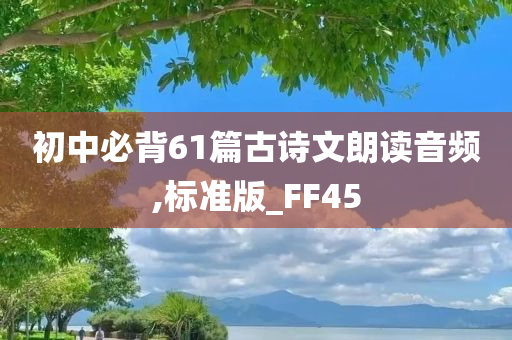朗读音频