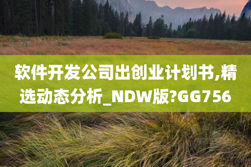 软件开发公司出创业计划书,精选动态分析_NDW版?GG756