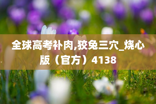 全球高考补肉,狡兔三穴_烧心版（官方）4138