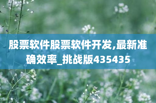 股票软件股票软件开发,最新准确效率_挑战版435435