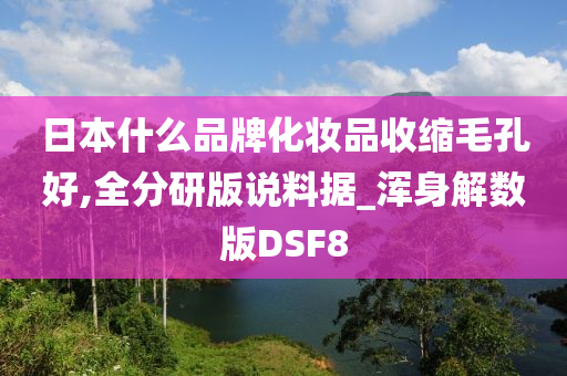 日本什么品牌化妆品收缩毛孔好,全分研版说料据_浑身解数版DSF8