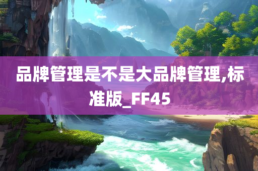 品牌管理是不是大品牌管理,标准版_FF45