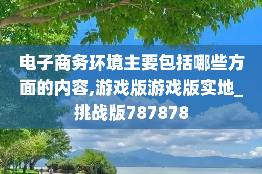 电子商务环境