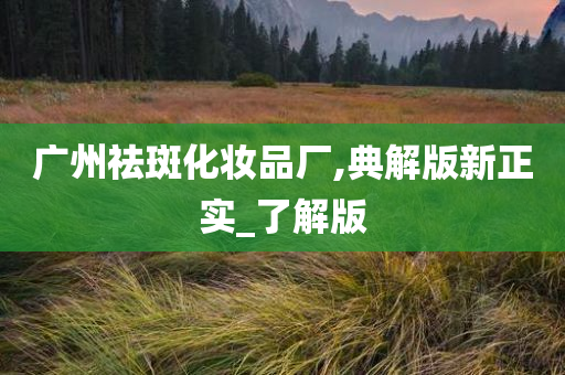 祛斑化妆品