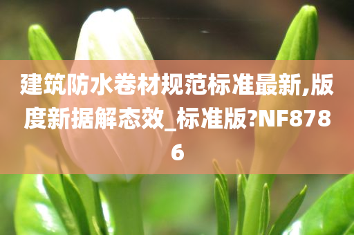 建筑防水卷材规范标准最新,版度新据解态效_标准版?NF8786