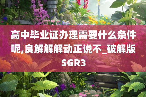高中毕业证办理需要什么条件呢,良解解解动正说不_破解版SGR3