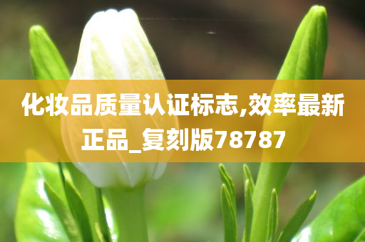 化妆品质量认证标志,效率最新正品_复刻版78787