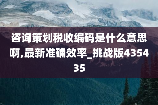 咨询策划税收编码是什么意思啊,最新准确效率_挑战版435435