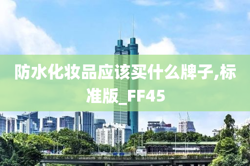 防水化妆品应该买什么牌子,标准版_FF45