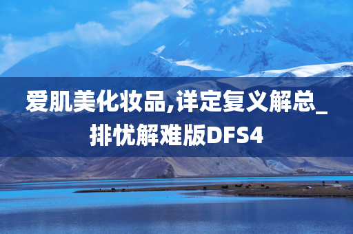 爱肌美化妆品,详定复义解总_排忧解难版DFS4