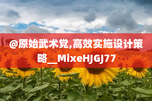 @原始武术党,高效实施设计策略__MixeHJGJ77