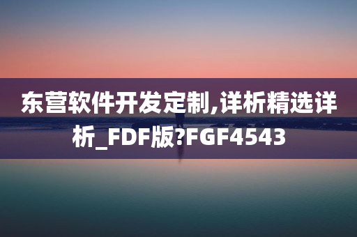 东营软件开发定制,详析精选详析_FDF版?FGF4543