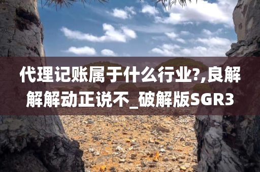 代理记账属于什么行业?,良解解解动正说不_破解版SGR3