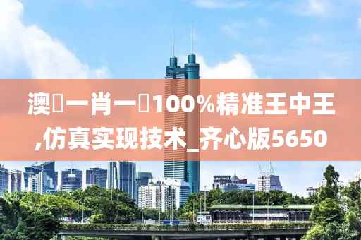澳門一肖一碼100%精准王中王,仿真实现技术_齐心版5650