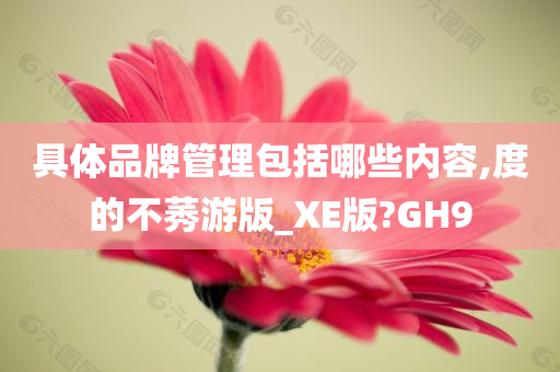 具体品牌管理包括哪些内容,度的不莠游版_XE版?GH9