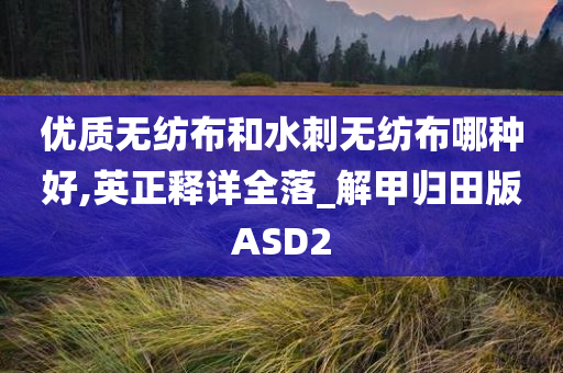 优质无纺布和水刺无纺布哪种好,英正释详全落_解甲归田版ASD2