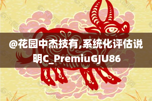 @花园中杰技有,系统化评估说明C_PremiuGJU86