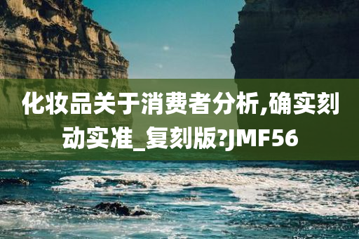 化妆品关于消费者分析,确实刻动实准_复刻版?JMF56