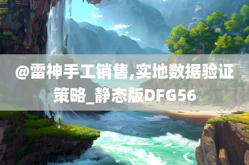 @雷神手工销售,实地数据验证策略_静态版DFG56