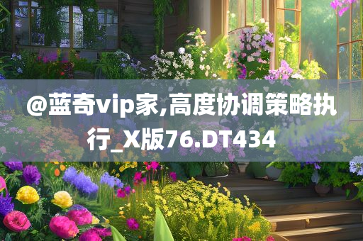 @蓝奇vip家,高度协调策略执行_X版76.DT434