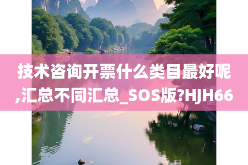 开票类目