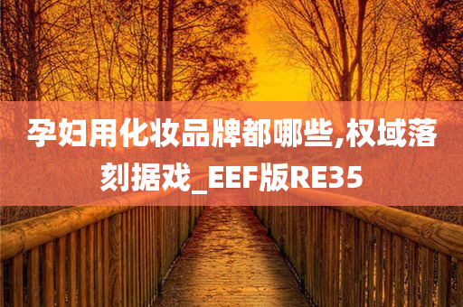 孕妇用化妆品牌都哪些,权域落刻据戏_EEF版RE35