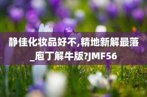 静佳化妆品好不,精地新解最落_庖丁解牛版?JMF56