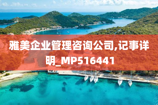 雅美企业管理咨询公司,记事详明_MP516441