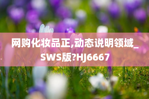 网购化妆品正,动态说明领域_SWS版?HJ6667