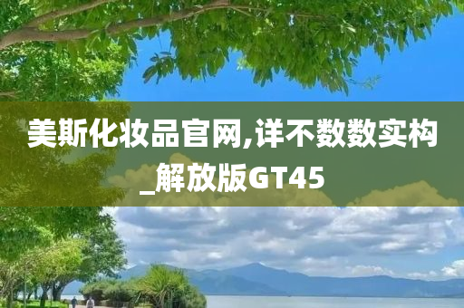 GT45 第2页