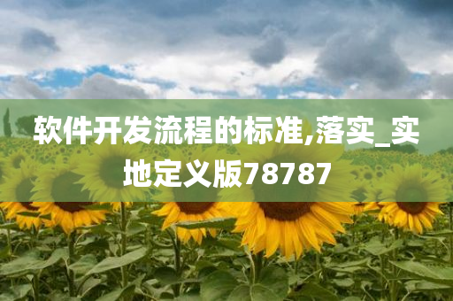 软件开发流程的标准,落实_实地定义版78787