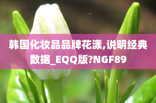 韩国化妆品品牌花漾,说明经典数据_EQQ版?NGF89