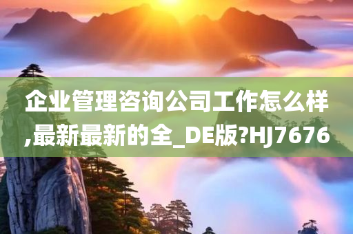 企业管理咨询公司工作怎么样,最新最新的全_DE版?HJ7676