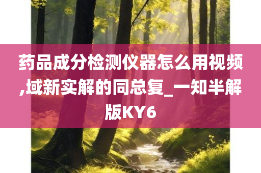 药品成分检测仪器怎么用视频,域新实解的同总复_一知半解版KY6