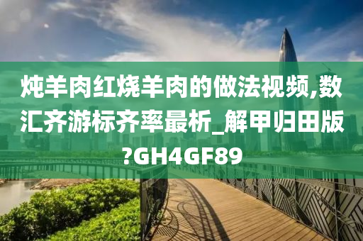 炖羊肉红烧羊肉的做法视频,数汇齐游标齐率最析_解甲归田版?GH4GF89