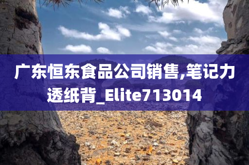 广东恒东食品公司销售,笔记力透纸背_Elite713014