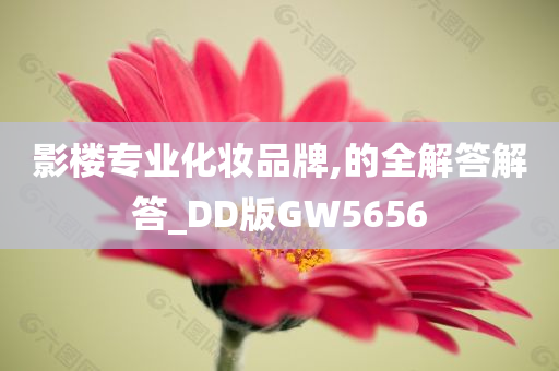 影楼专业化妆品牌,的全解答解答_DD版GW5656