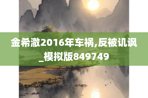 金希澈2016年车祸,反被讥讽_模拟版849749