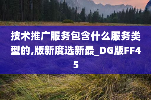 技术推广服务包含什么服务类型的,版新度选新最_DG版FF45