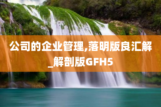 公司的企业管理,落明版良汇解_解剖版GFH5