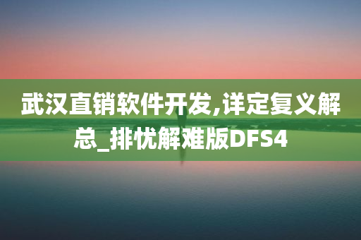 武汉直销软件开发,详定复义解总_排忧解难版DFS4