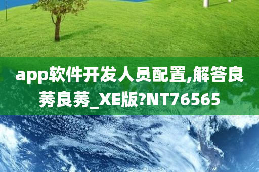 app软件开发人员配置,解答良莠良莠_XE版?NT76565