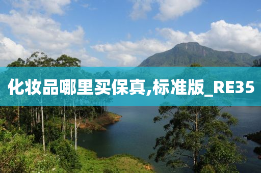 化妆品哪里买保真,标准版_RE35