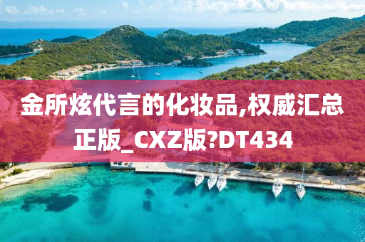 金所炫代言的化妆品,权威汇总正版_CXZ版?DT434